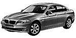 BMW F10 P3145 Fault Code